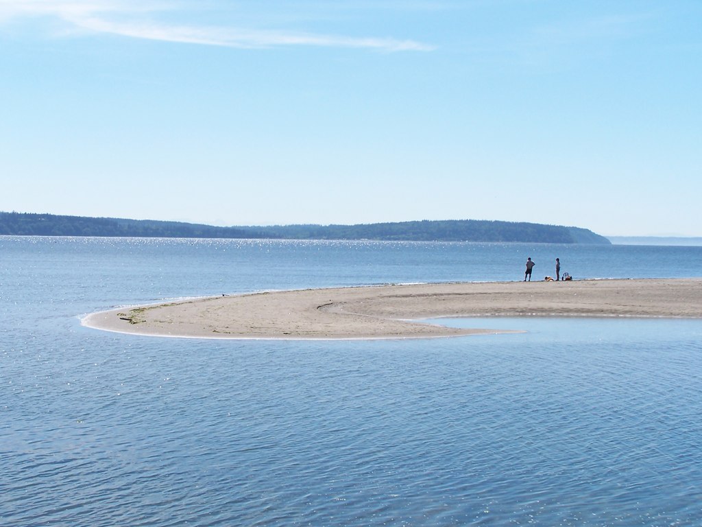 Double Bluff Beach is a dog friendly beach