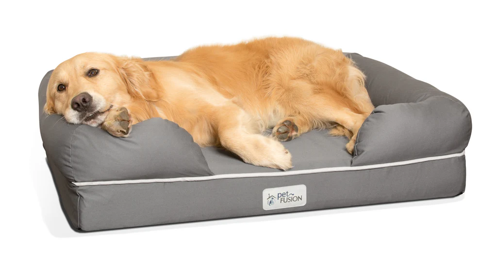All Dogs Can Benefit From Memory Foam