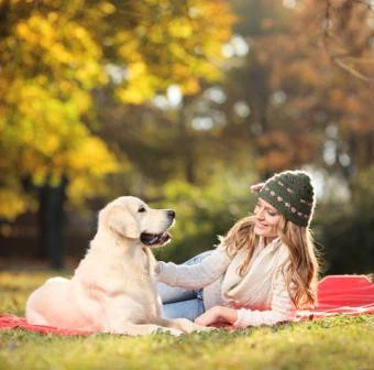 Tips to Pet's Fun and Games