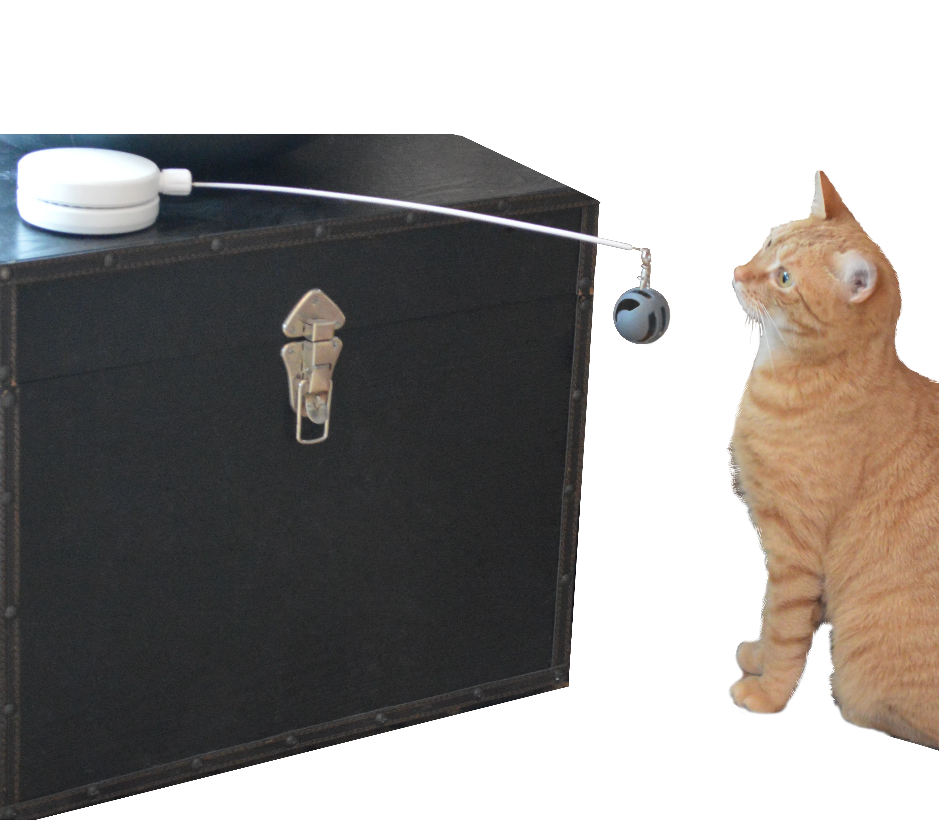 Interactive Cat Spinner