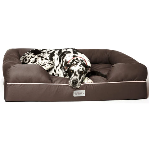PetFusion Ultimate Pet Bed & Lounge Prem Edition in Solid Memory Foam - PetFusion