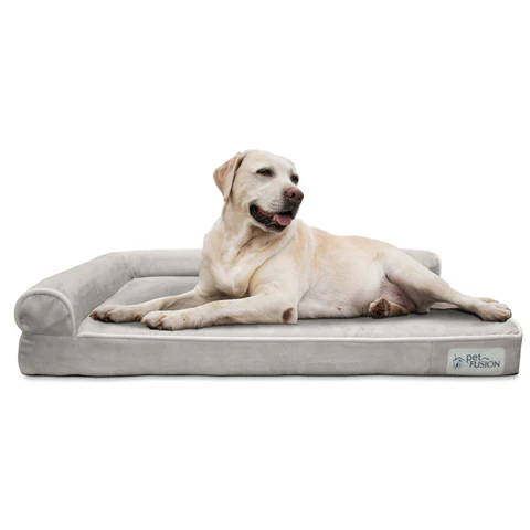 PetFusion BetterLounge in Solid Memory Foam - PetFusion
