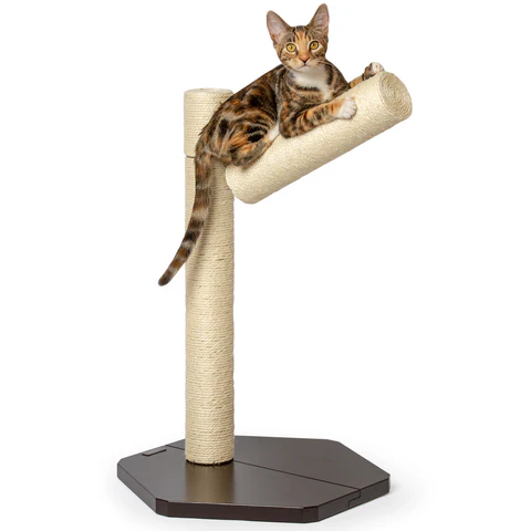 PetFusion Branch-Out Cat Scratching Post - PetFusion