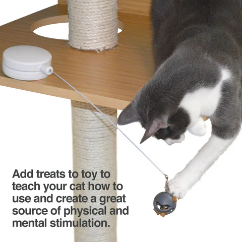 PetFusion Interactive Cat Spinner - PetFusion