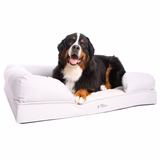 PetFusion Ultimate Pet Bed & Lounge Prem Edition in Solid Memory Foam - PetFusion
