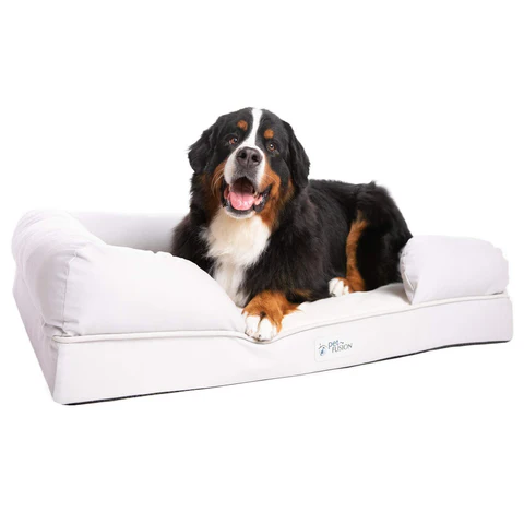 PetFusion Ultimate Pet Bed & Lounge Prem Edition in Solid Memory Foam - PetFusion