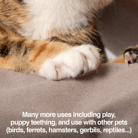 PetFusion Multipurpose Pet Glove (Large) - PetFusion