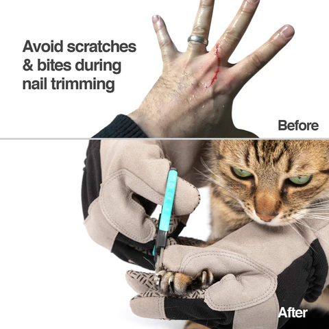 PetFusion Multipurpose Pet Glove (Large) - PetFusion