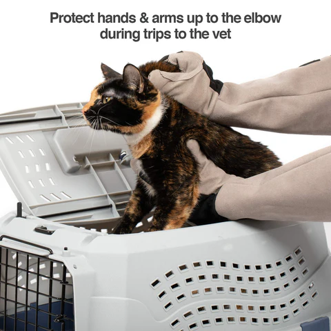 PetFusion Multipurpose Pet Glove (Large) - PetFusion
