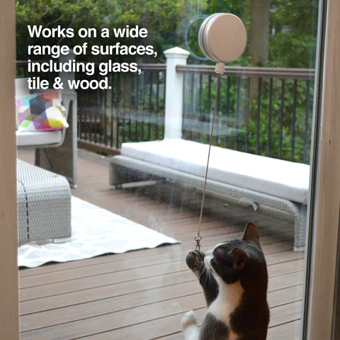 PetFusion Interactive Cat Spinner - PetFusion