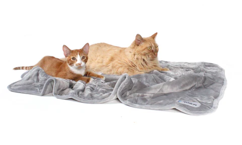 PetFusion Premium Plus Quilted Dog or Cat Blanket.  Light Inner Fill - PetFusion
