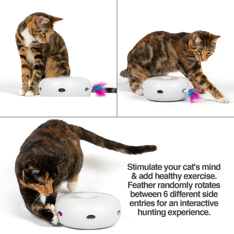 PetFusion AMBUSH INTERACTIVE Electronic Cat Toy - PetFusion