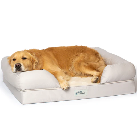 PetFusion Ultimate Pet Bed & Lounge Prem Edition in Solid Memory Foam - PetFusion