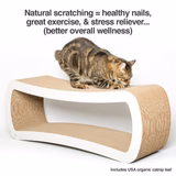 PetFusion Jumbo Cat Scratcher Lounge - PetFusion