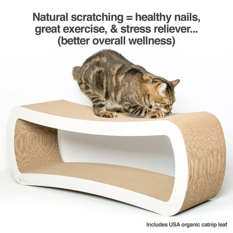 PetFusion Jumbo Cat Scratcher Lounge - PetFusion