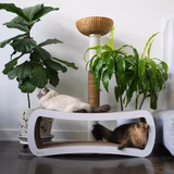 PetFusion Jumbo Cat Scratcher Lounge - PetFusion