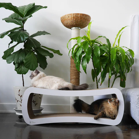 PetFusion Jumbo Cat Scratcher Lounge - PetFusion
