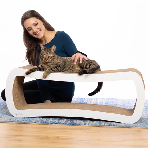PetFusion Jumbo Cat Scratcher Lounge - PetFusion