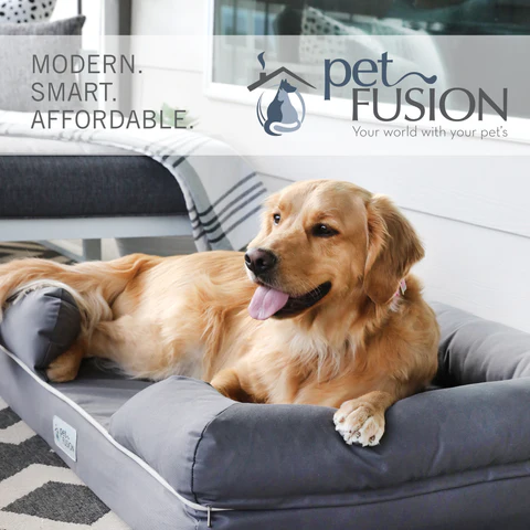 PetFusion Ultimate Pet Bed & Lounge Prem Edition in Solid Memory Foam