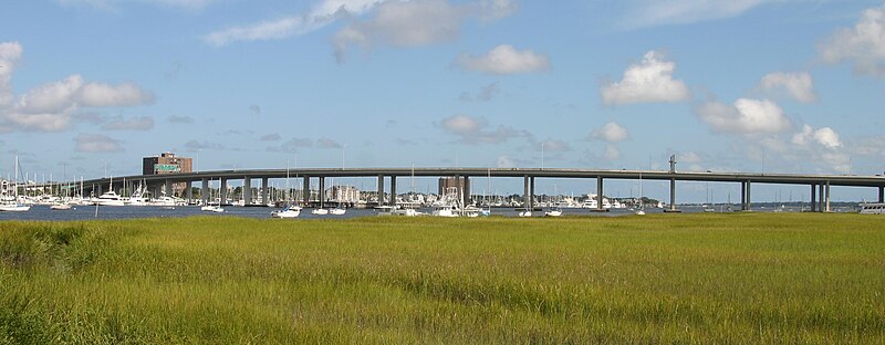 James Island County Park Dog Park is a dog friendly beach area in Charleston, SC