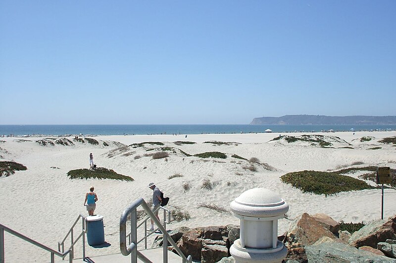 Coronado Beach in California is a dog friendly beach